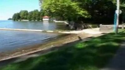 Молодая парочка прониклась порно и устроила развратный отдых. домашнее русское видео