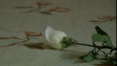 Молодая пара утопила в реализации своих желаний с помощью домашнего бисексуального порно. анальный ЖМ