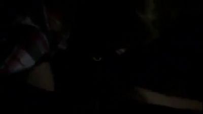 Парень и девушка реализуют свои фантазии после просмотра порнухи